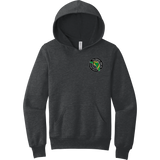 Florida Eels Youth Sponge Fleece Pullover Hoodie