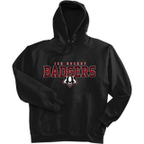 Scary Badgers Super Heavyweight Fleece Hoodie
