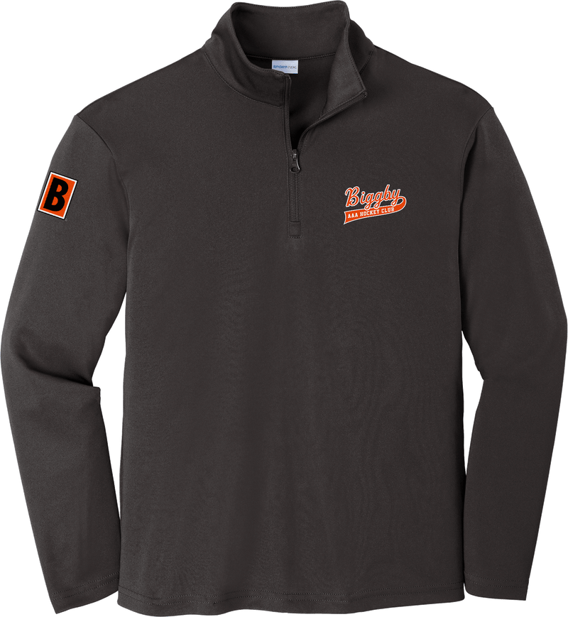 Biggby Coffee AAA Youth PosiCharge Competitor 1/4-Zip Pullover